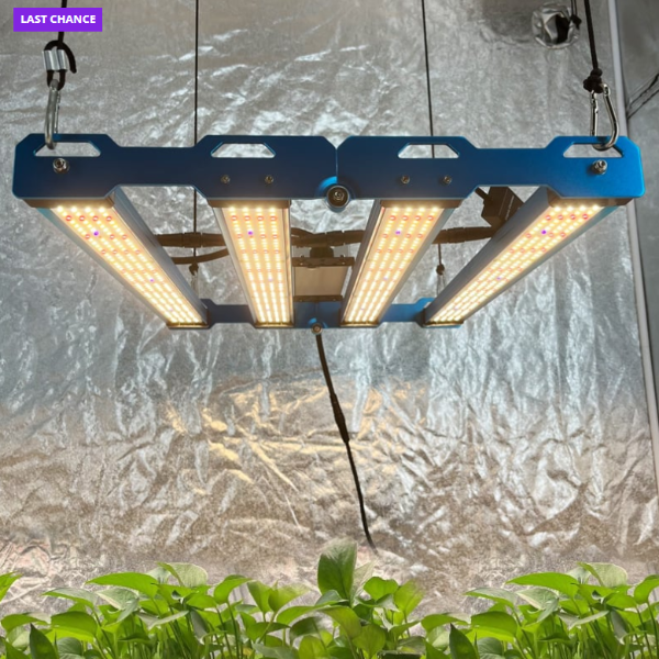 Kingbrite P55 240W BAR Grow Light with UV+IR |Samsung LM281B
