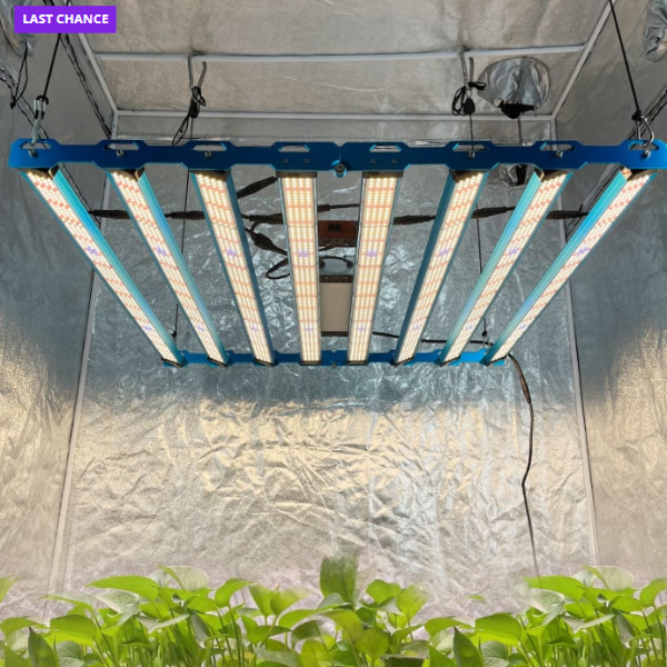 LED grow light fixture hanging above plants in a grow tent with 'Last Chance' text.
