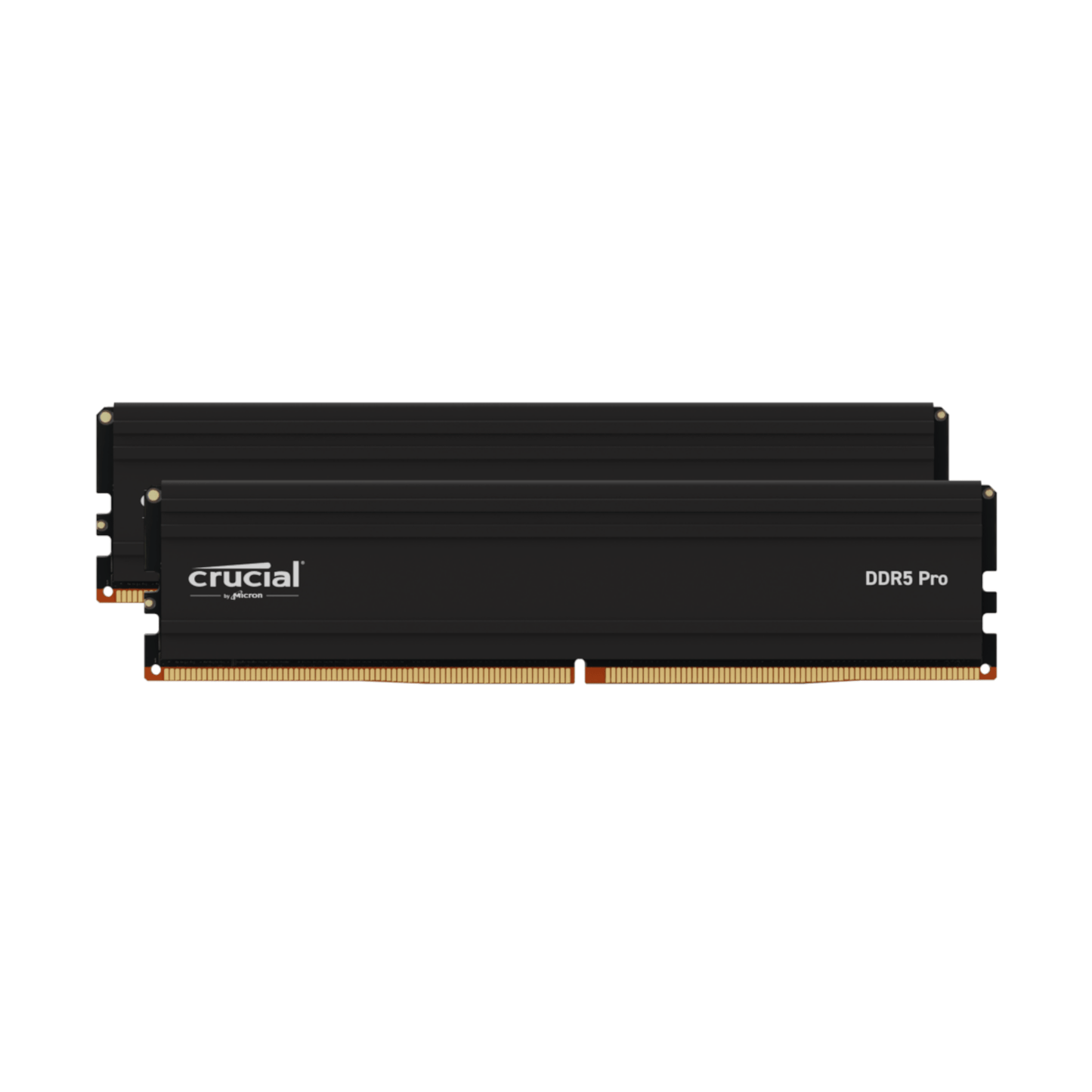 Crucial Pro DDR5-5600 48GB Desktop Memory Kit